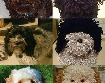 Commissioned Groodle/Labradoodle/Cockapoo/Portuguese Water Dog