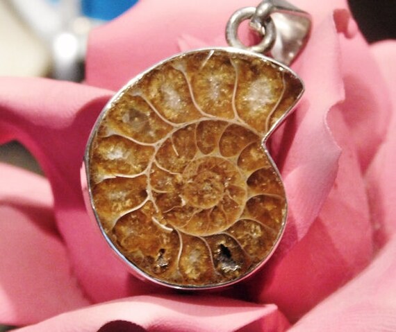Ammonite Fossil Pendant / Fossilized Shell Jurassic / Sterling Silver