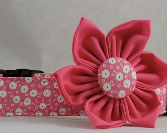 Dog Collar with Flower - Storybook - All Sizes