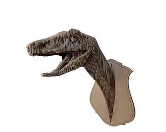 Cardboard Coelophysis trophy head