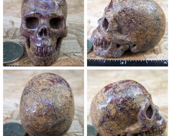2.08" 3.4oz Pietersite Skull Realistic Crystal Healing 95.1g Magick Metaphysical Mystic Reiki Wicca Large 2 inch Yellow SK1433