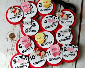 Farm Birthday Photo Banner Clips with Ribbon