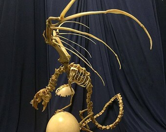 Amaizing Museum exhibit а bone sculpture Cadaver I. The time guardian