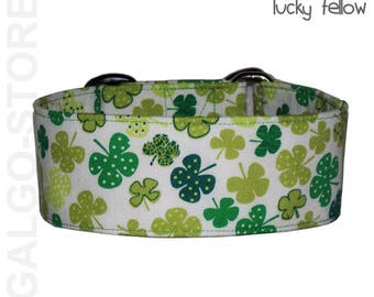 Galgostore's dog collar "Lucky Fellow", martingale, buckle / tag collar,shamrocks, handmade, custom, greyhound collar