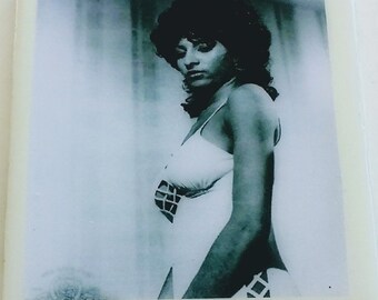 Pam Grier coaster action star Blaxploitation cult Coffy Foxy Brown Scream Blacula Scream Jackie Brown The L Word Big Bird Cage Friday Foster