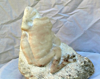 Carved Alabaster Treefrog
