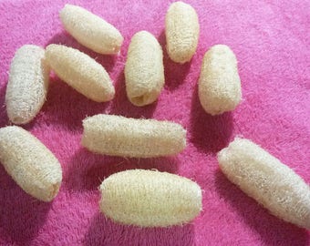 10 Small Pieces of Luffa Loofa Loofah Natural Sponge Scrub 3 to 3.6” FREE SHIPPING