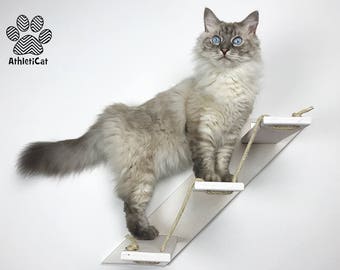 CAT STAIR – Goes Up Right