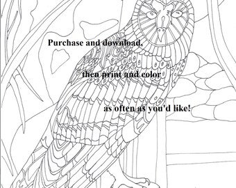Owl coloring pages | Etsy