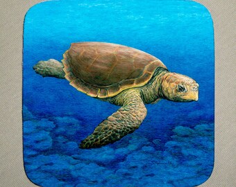 Loggerhead Turtle Coaster set of 4