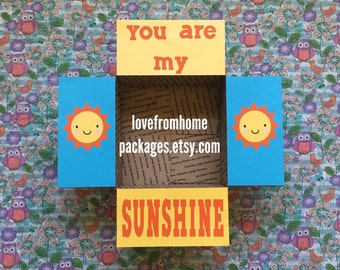 You Are My Sunshine Care Package Flaps