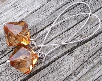 Orange Earrings Fall Earrings Autumn Earrings Clear Orange Earrings Halloween Earrings Long Orange Earrings Light Orange Earrings Large