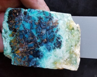 Indonesian Opal Petrified Wood Specimen w/ video