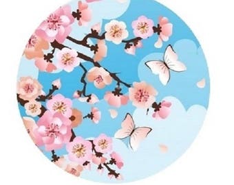 20mm, pink cherry blossoms, blue background
