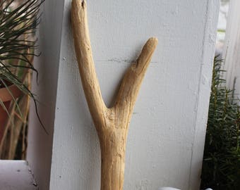 Y Driftwood Sculpture , Natural Wood Letter , Bohemian Decor and Beach Decoration , Drift Wood Art Supply