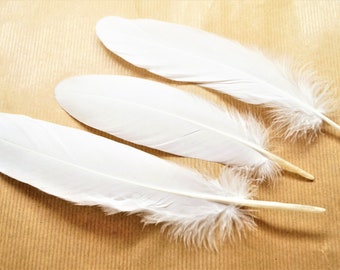 Set of 10 natural white goose feathers, 15-20 cm