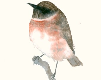 Original Watercolor Artwork Little Pink Bird