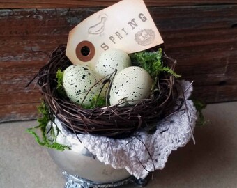 Nest and Eggs in Creamer