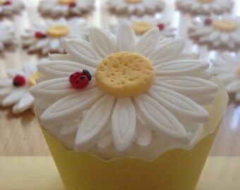 Fondant Daisy & LadyBug