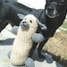 SALE 20% off Bottle Puppy Toy