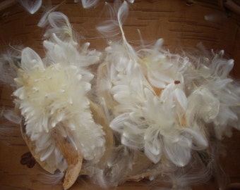 5 Milkweed pods with seeds for Butterfly gardens & DIY supplies