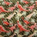 Red & pink print cotton fabric