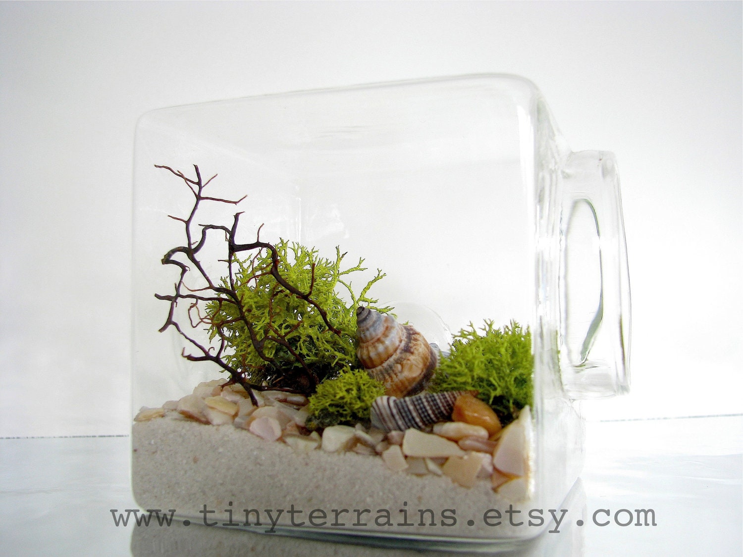 Modern Beach Cube Lichen Terrarium White Natural Or Black - ðzoom modern beach cube lichen terrarium white natural or black - ðzoom