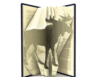 Book folding pattern - MOOSE - 218 folds + Tutorial with Simple pattern - Heart - AN1006
