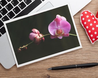 Orchid Photo Notecard, Blank Greeting Card, Photo Greeting Card, Floral Card, Note Card, Floral Photo Notecard, Stationery, Blank Notecard