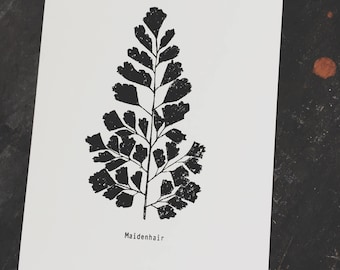 Botanical Fern Print Art Print, Botanical Fern Print, Fern Print Art, Botanical Fern Print Wall Art, Modern Botanical Art Print, Monochrome