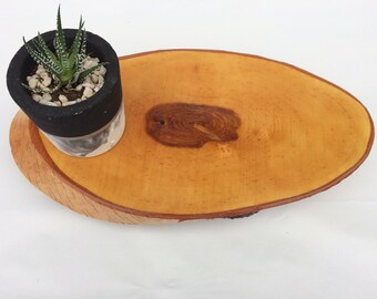 Birch wood centerpiece, wood tree slice, round tree bark slice, rustic candle centerpiece, decorative tray.