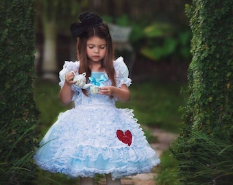 Alice in Wonderland dress tutu costume 5t