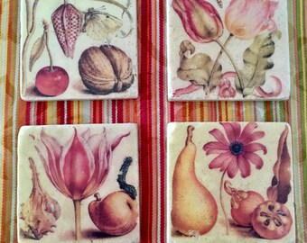 Artistic Coaster Set - Joris Hoefnagel's Classic Botanical Illustrations