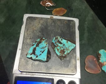 Bisbee AZ Turquoise Earrings