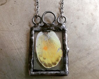 Yellow Butterfly Necklace Real Insect Jewelry