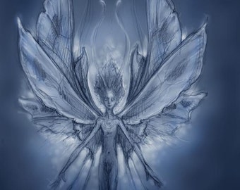 Boy Faerie, Post Card by Renae Taylor