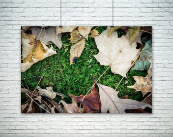 Autumn Decor Fall Leaves Canvas Art Print Macro Photography Large Nature Wall Art Rustic Forest Print Home Moss Green Forest Floor Ground