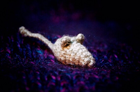Comment Faire Sortir Une Souris De Sa Cachette La petite souris grisedans sa cachette elle est assise