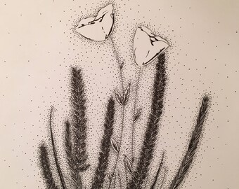 Pen and Ink Flowers