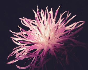 A Splash of Color - Digital Download