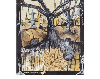Barron Shadows .. Limited Edition Archival Print