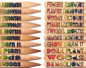 FUNNY & "Latin" Garden Plant Pot Markers - 10 Rainbow1
