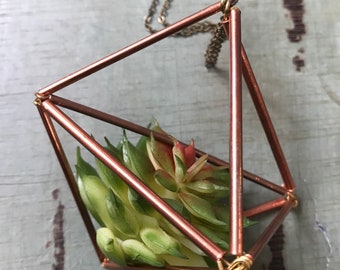 Air Plant Necklace