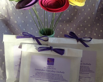 Everyday Lavender Sachets (3 Pack)
