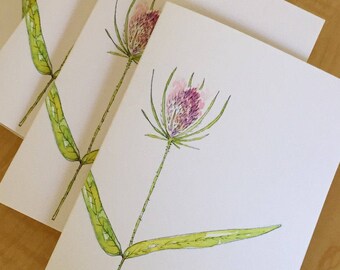 Watercolor Blank Note Cards - Wildflower Note Cards - Teasel Weed Cards - Weed Note Cards - Botanical Note Cards - Set of 6