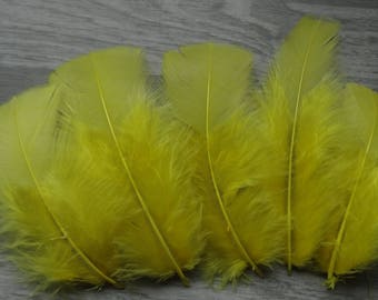 Set of 20 yellow Canary colored Turkey feathers
