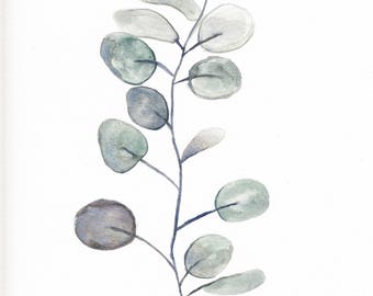 Original 8 x 10 inch watercolor painting of a eucalyptus branch