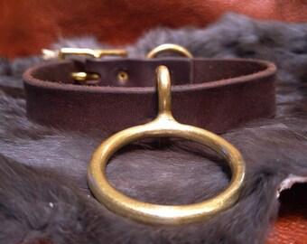 Sleek and strong bondage collar