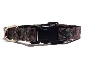 The Hunter | Cat Collar with Bell