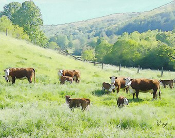 cow art gift Hereford calf bull cattle ranch farm painting pen&ink watercolor print